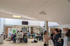PXL_20241219_141039152.MP_