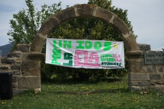 DSC08338-1-1