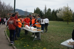 DSC08344-1-1