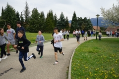 DSC08376-1-1