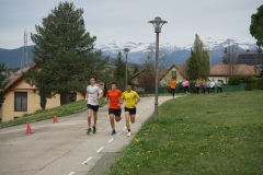 DSC08415-1-1