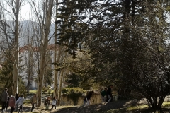 IMG_20250206_132809-2