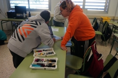 2024-10-03-TALLERES-ROBOTICA-1ESO-6