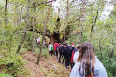 Excursión Susín