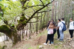 Excursión Susín