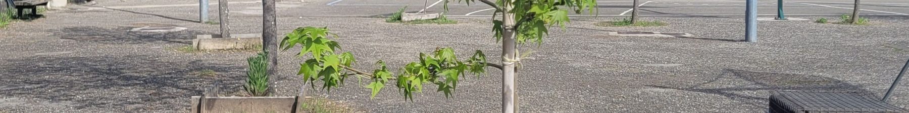 20250424_104505 (2)